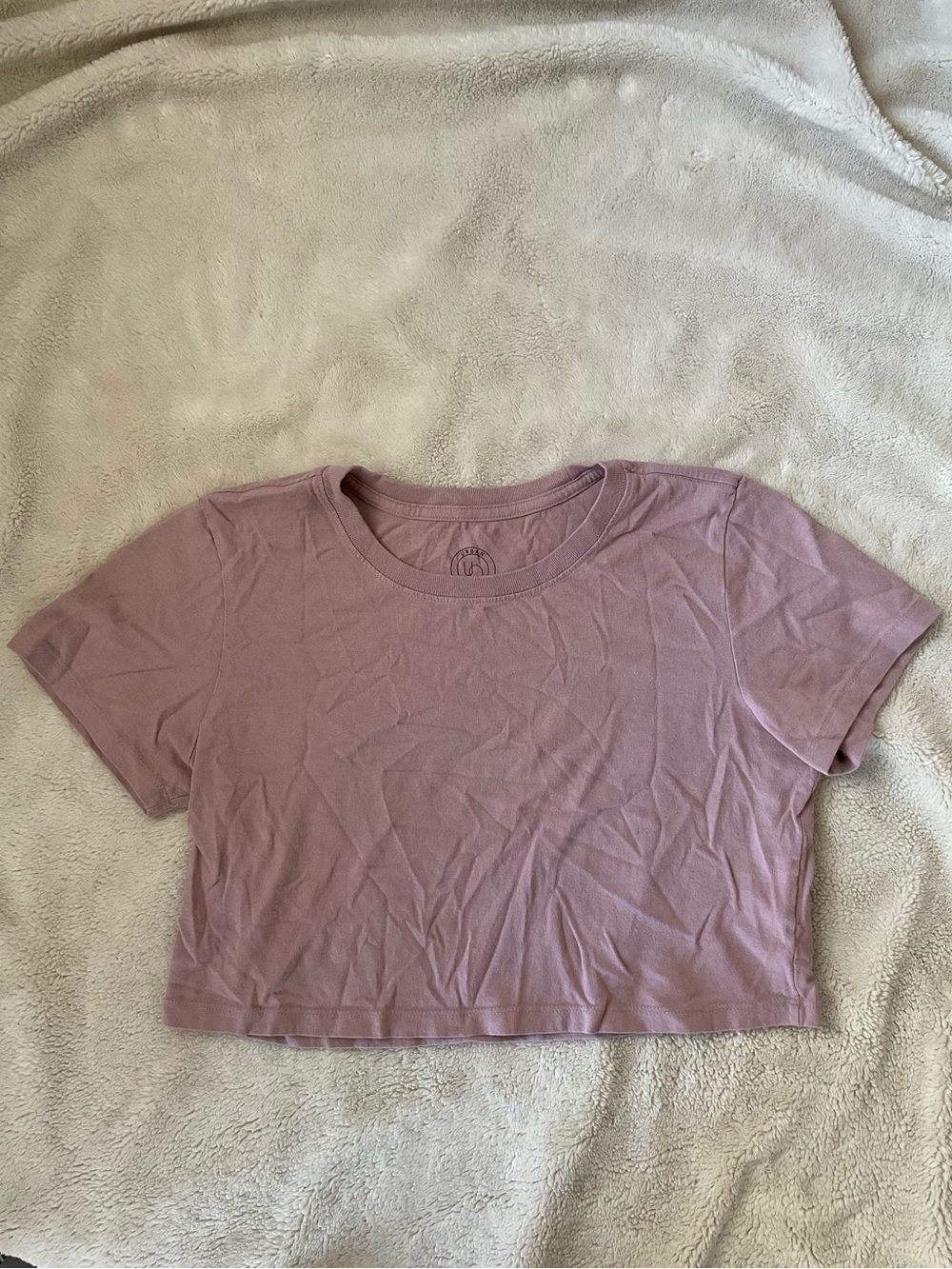 Urban Outfitters Cropped Tee in Dusty Rose